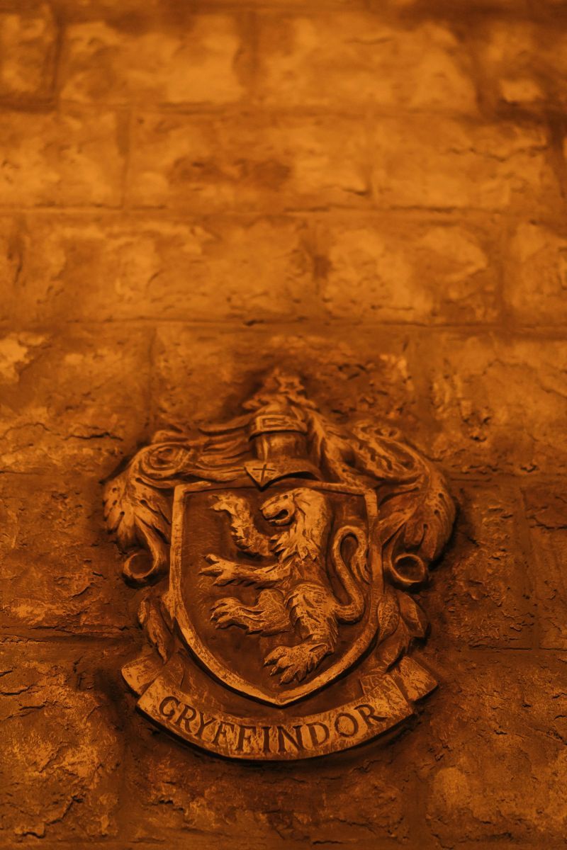 HARRY POTTER Φωτογραφία από HARRY POTTER